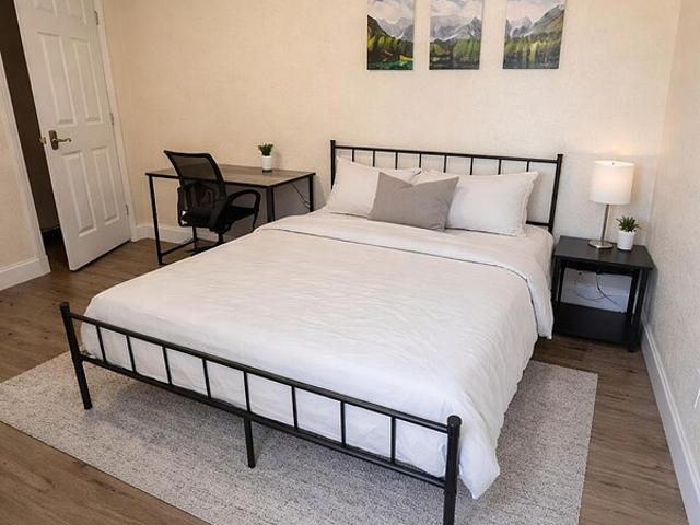 Room for rent in Saint Petersburg, Florida