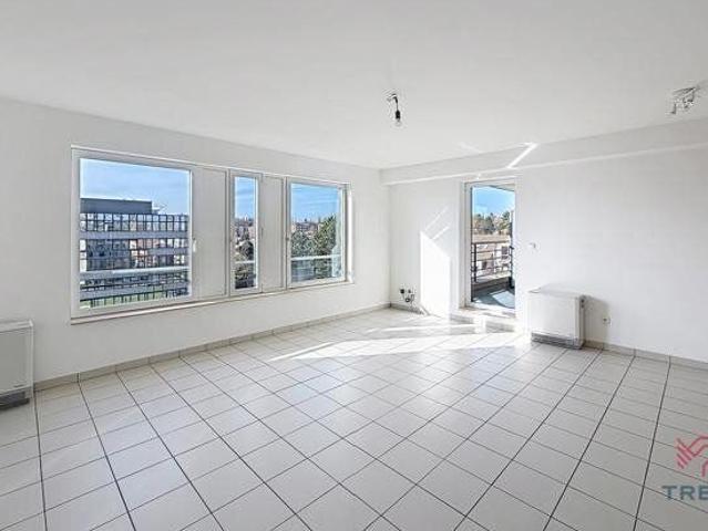 Kot location à Moortebeek, Anderlecht