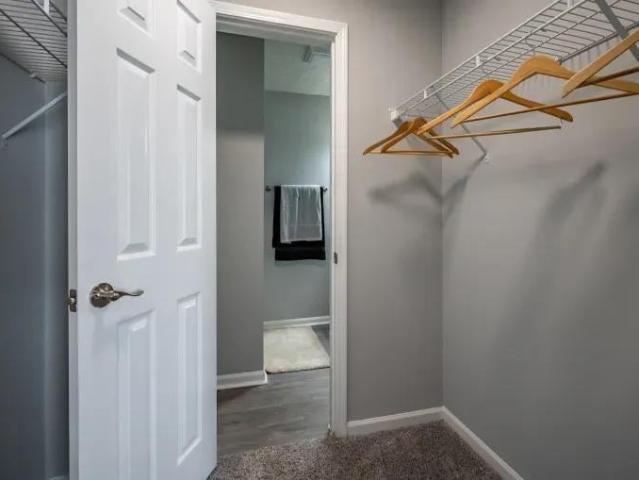 Apartment for rent in Georgia