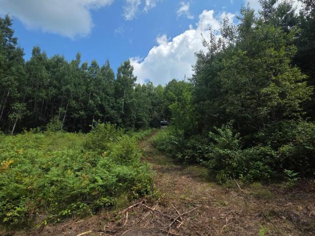 Land for sale in Wisconsin