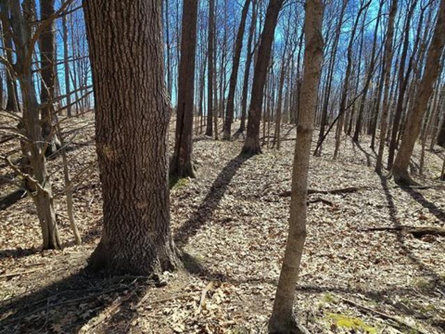 Farm for sale in Dillsboro, Indiana