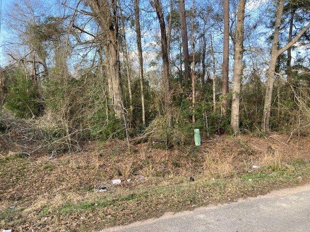 Land for sale in Conroe Land for sale in Conroe