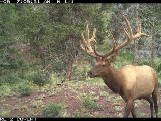 Land for sale in Aguilar, Colorado