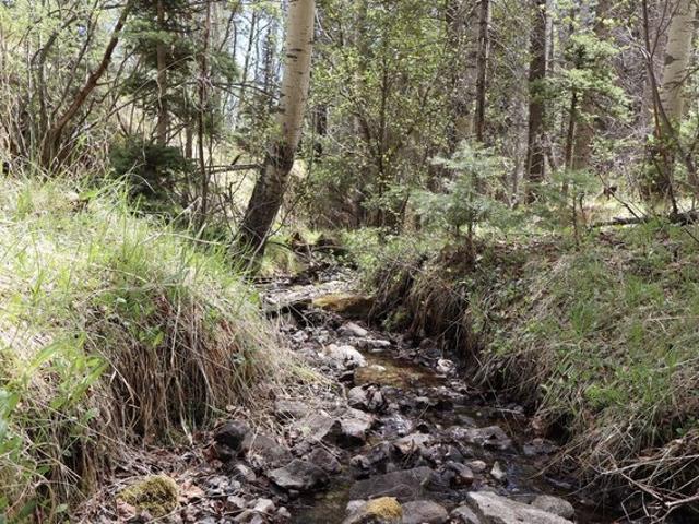 Land for sale in Aguilar, Colorado