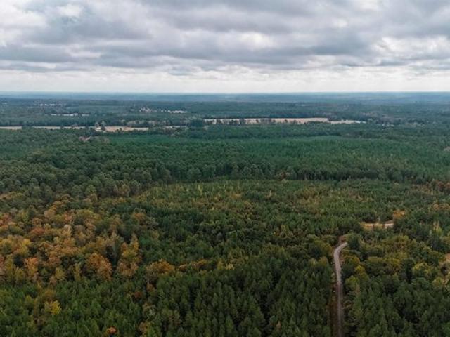 Farm for sale in Sparkman, Dallas County