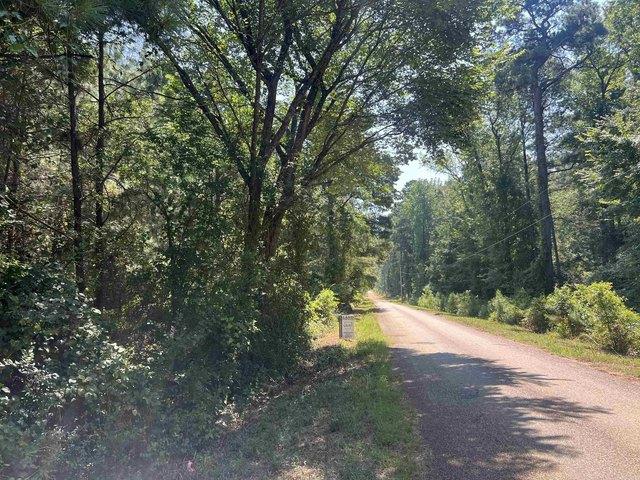 Land for sale in Sparkman, Dallas County