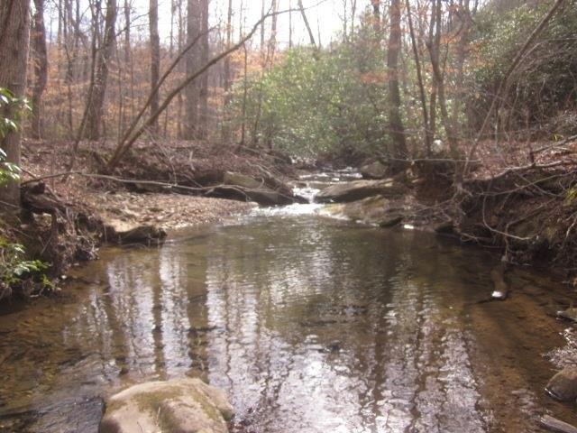 Land for sale in Pickens, Georgia