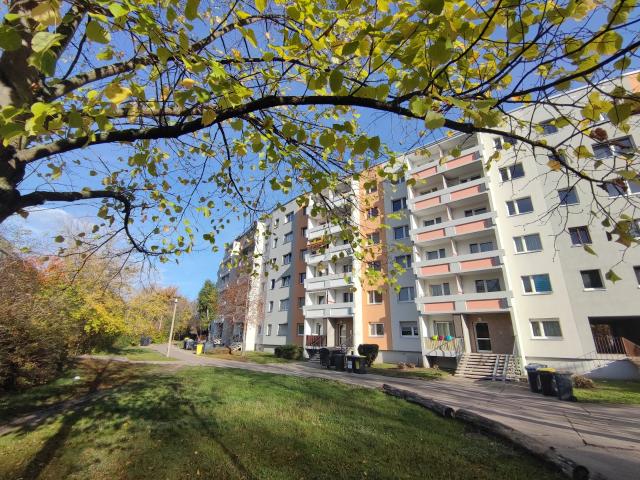 Apartment mieten in Neustadt, Halle