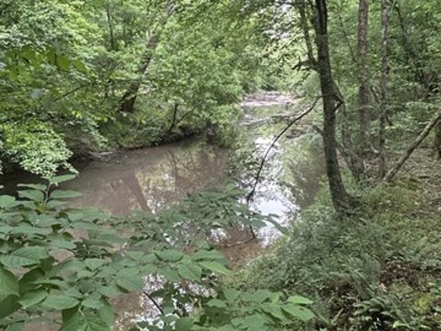 Land for sale in Crawfordville, Georgia