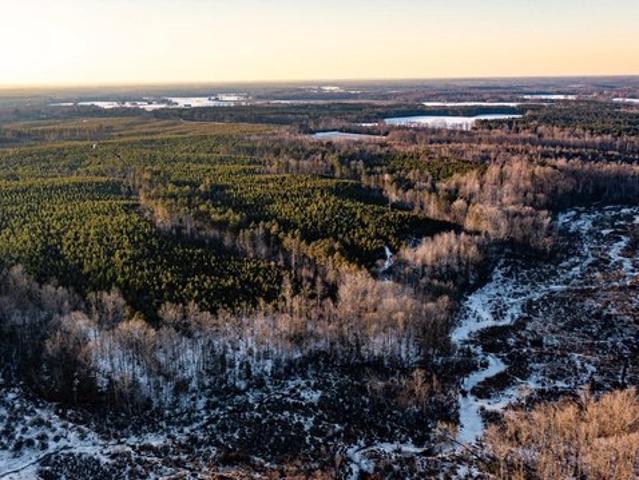 Land for sale in Virginia