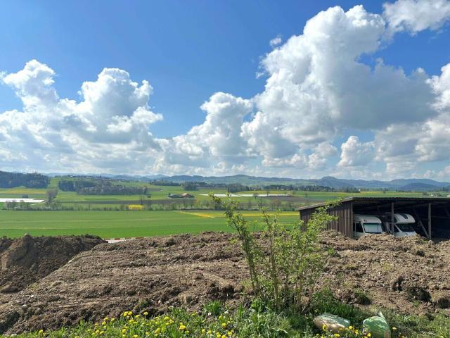 Einfamilienhaus kaufen in Lommis, Thurgau