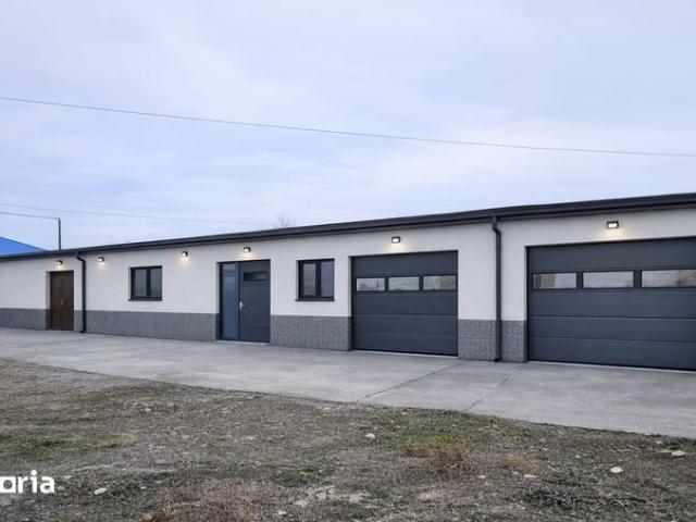 Apartament închirieri în Neamț