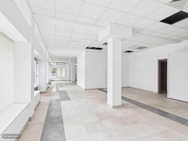 Apartament închirieri în Europa, Oradea