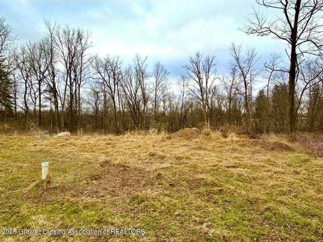 Land for sale in Eaton, Michigan