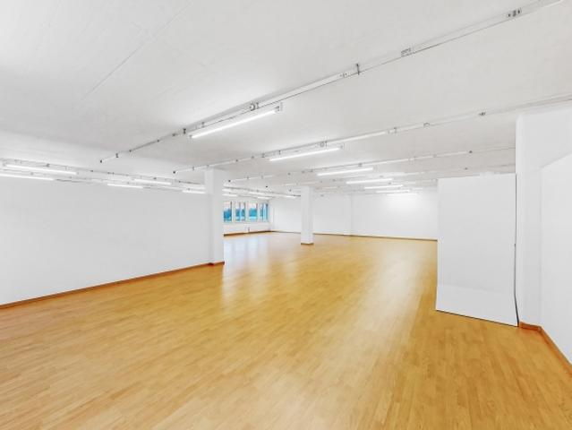 Atelier mieten in Magadino, Tessin