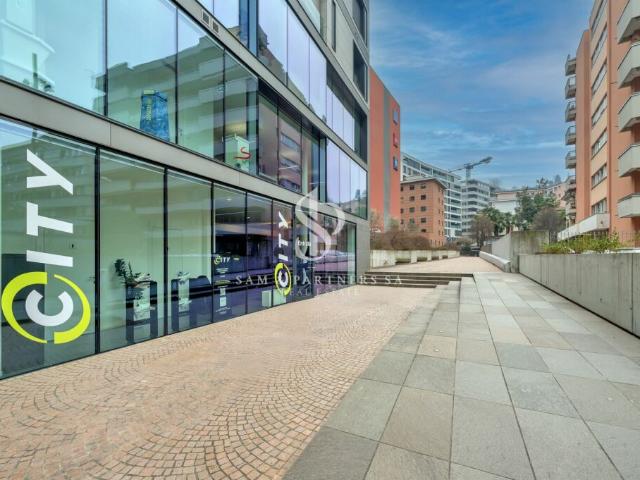 Immobilie kaufen in Paradiso, Tessin