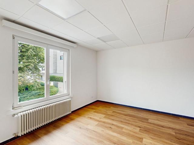 Apartment mieten in Massagno, Tessin