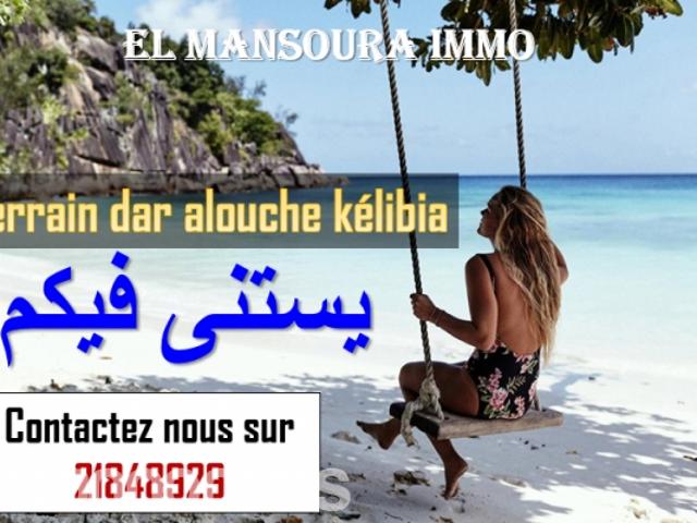 Terrain vente