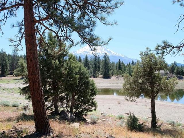 Land for sale in Weed, California