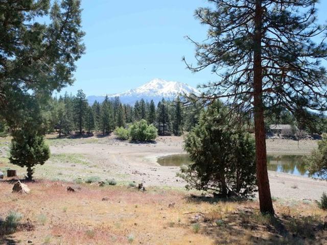 Land for sale in Weed, California