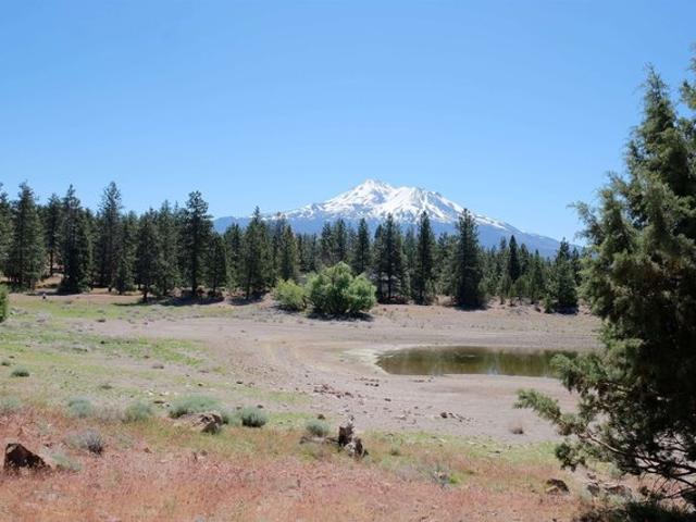 Land for sale in Weed, California