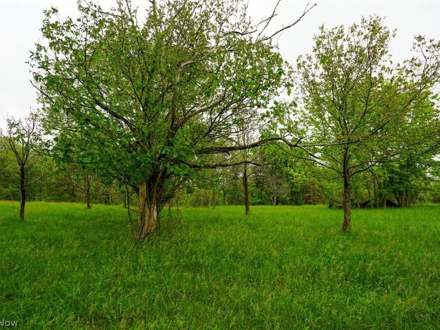 Land for sale in Stockport, Ohio