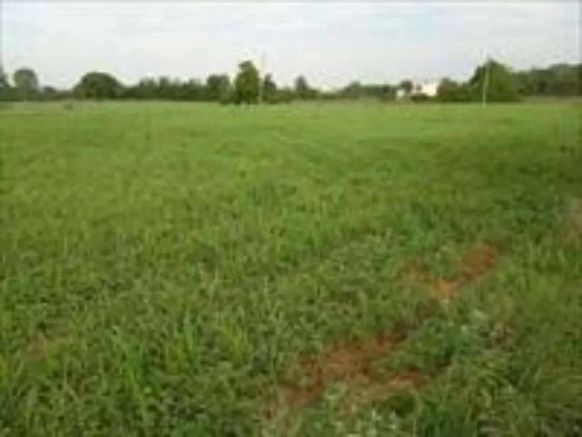 Land for sale in Dera Ismail Khan, North West Frontier Province
