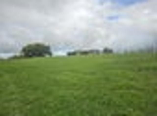 Land for sale in Northland