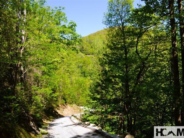 Land for sale in Transylvania, North Carolina