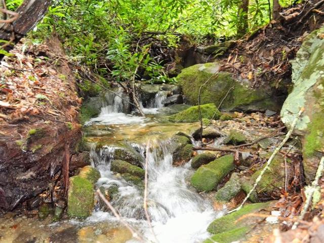 Land for sale in Transylvania, North Carolina