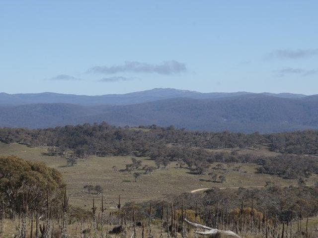 Land for sale in Buckenderra, New South Wales