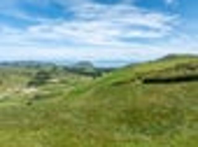 Land for sale in Waikato