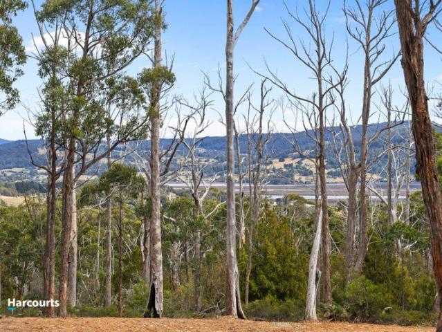 Land for sale in Cradoc, Tasmania