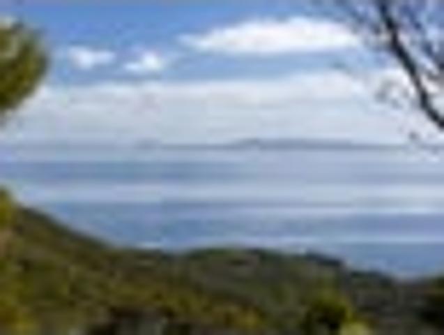 Land for sale in Fairburn, Northland