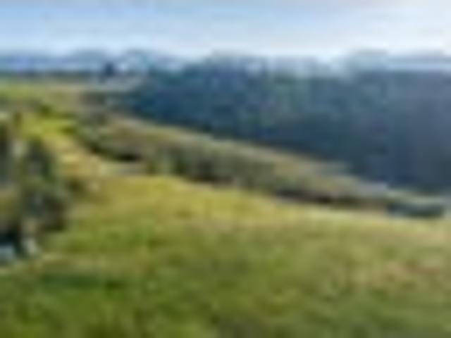 Land for sale in Geraldine, Canterbury
