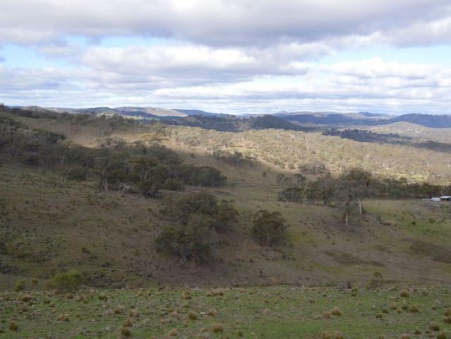 Cottage for sale in Windeyer, New South Wales