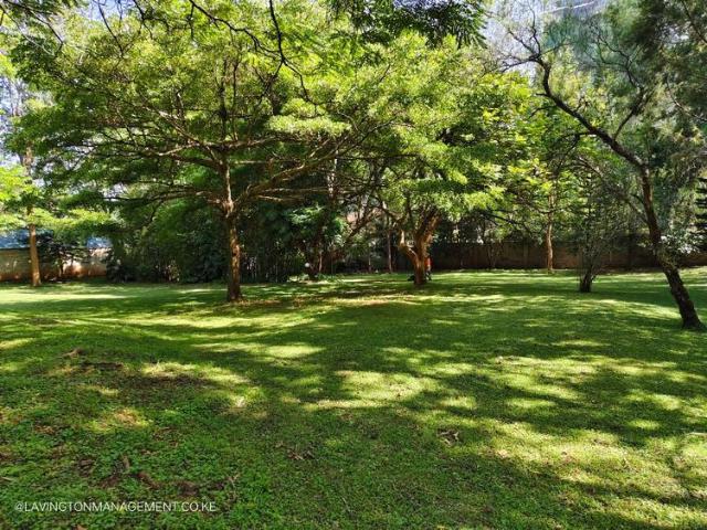 House for rent in Lavington, Westlands