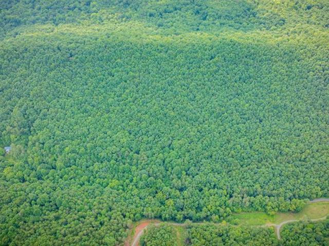 Land for sale in Tennessee