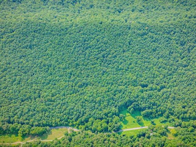 Land for sale in Tennessee