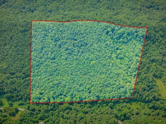 Land for sale in Tennessee