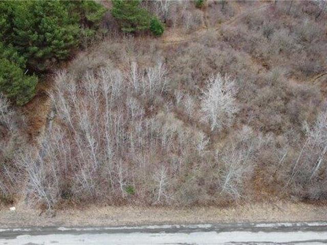 Land for sale in Spencer, New York