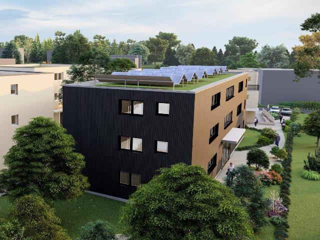 Apartment kaufen in Haselstauden, Dornbirn