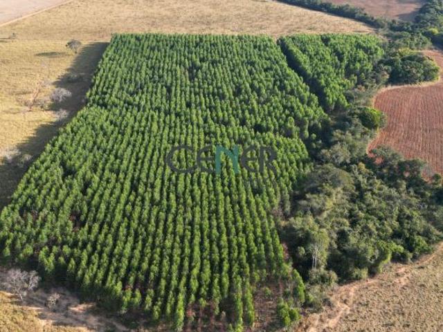 Sítio e chácara venda em Pompéu, Região Geográfica Intermediária de Divinópolis