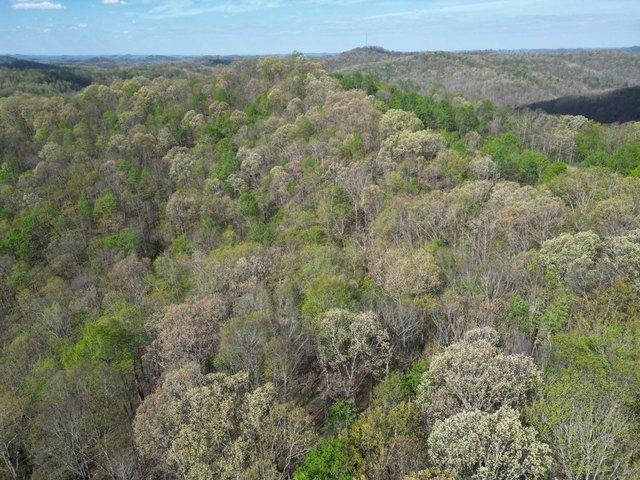 Land for sale in Procious, West Virginia