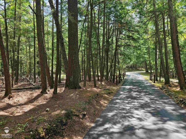 Land for sale in Michigan