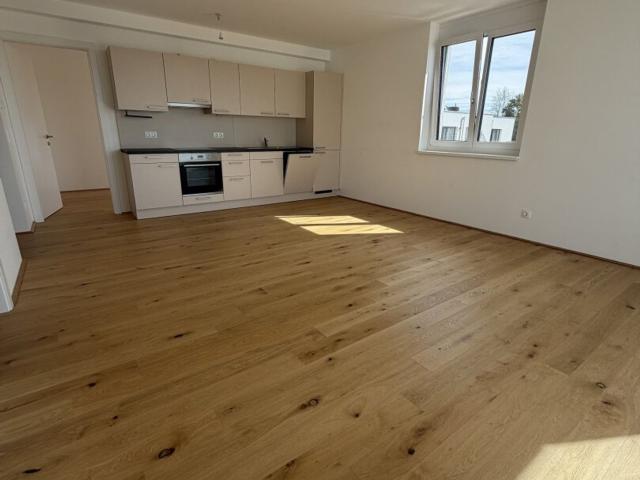 Wohnung mieten in Spillern, Bezirk Korneuburg