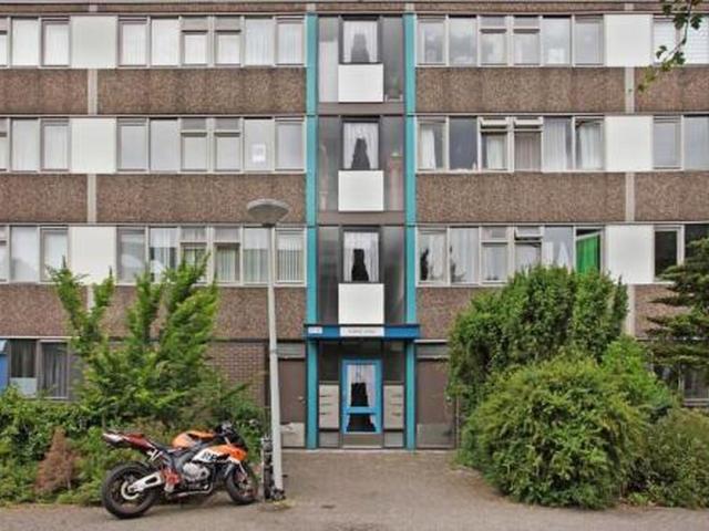 Appartement te huur in Noord, Amsterdam