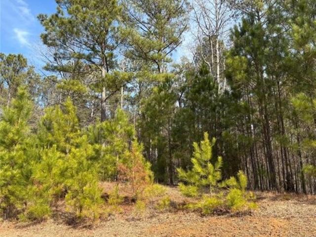 Land for sale in Buckhead