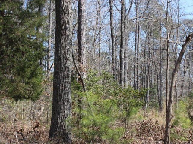 Land for sale in Virginia