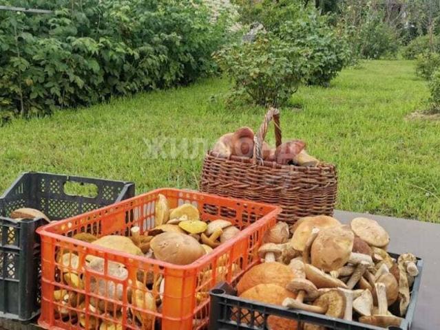 Квартира продажа в Спиринский, Новосибирская область